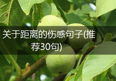 关于距离的伤感句子(推荐30句)