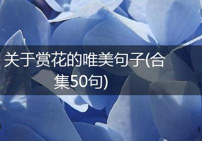 关于赏花的唯美句子(合集50句)