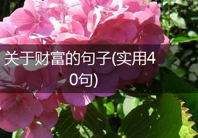 关于财富的句子(实用40句)