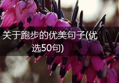 关于跑步的优美句子(优选50句)
