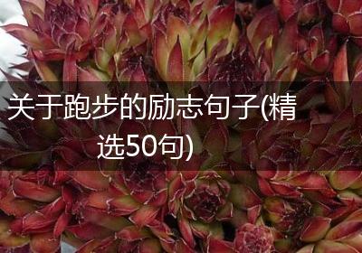 关于跑步的励志句子(精选50句)