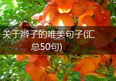 关于辫子的唯美句子(汇总50句)