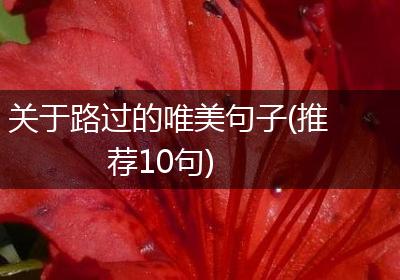 关于路过的唯美句子(推荐10句)
