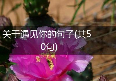 关于遇见你的句子(共50句)