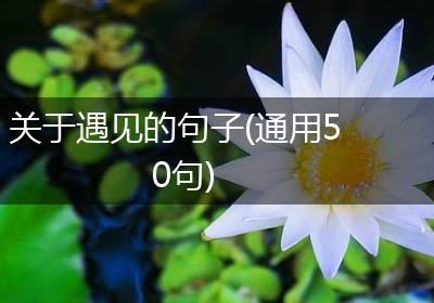 关于遇见的句子(通用50句)