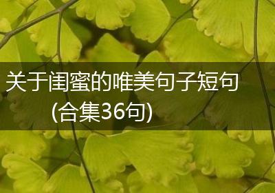 关于闺蜜的唯美句子短句(合集36句)