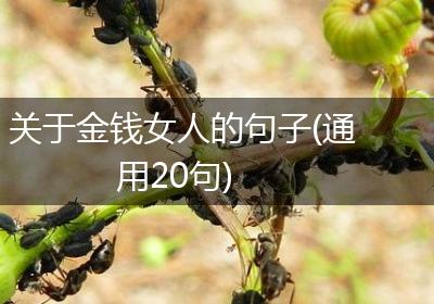 关于金钱女人的句子(通用20句)