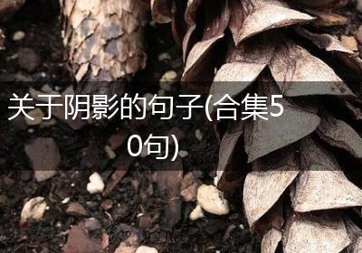关于阴影的句子(合集50句)