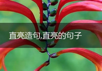 直亮造句,直亮的句子