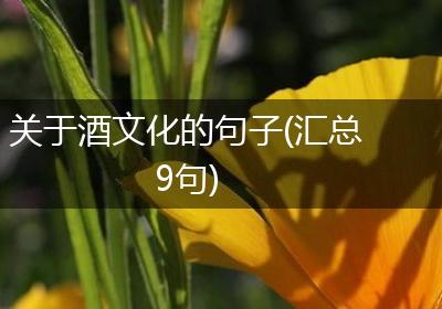 关于酒文化的句子(汇总9句)