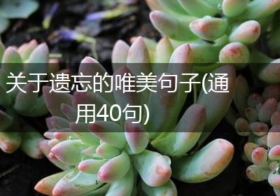 关于遗忘的唯美句子(通用40句)