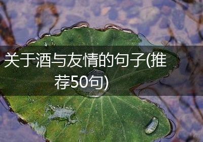 关于酒与友情的句子(推荐50句)