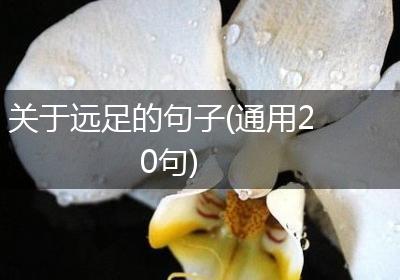关于远足的句子(通用20句)