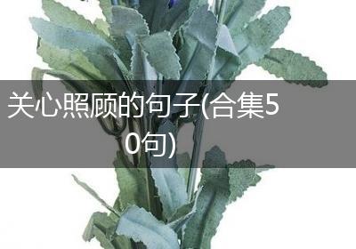 关心照顾的句子(合集50句)