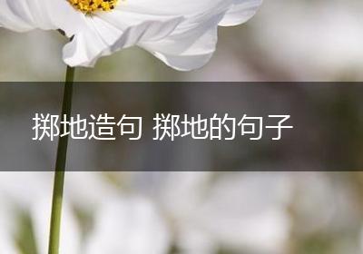 掷地造句 掷地的句子