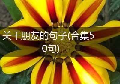 关干朋友的句子(合集50句)