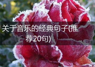 关于音乐的经典句子(推荐20句)