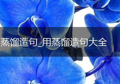 蒸馏造句_用蒸馏造句大全