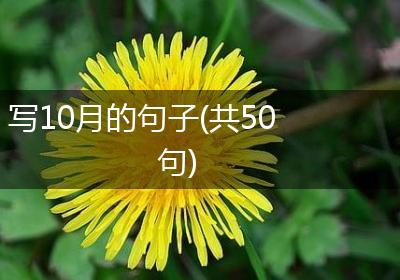 写10月的句子(共50句)