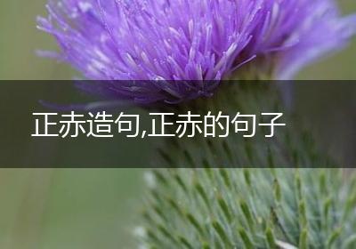正赤造句,正赤的句子