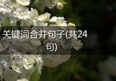 关键词合并句子(共24句)