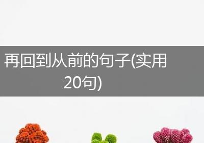 再回到从前的句子(实用20句)