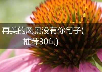再美的风景没有你句子(推荐30句)