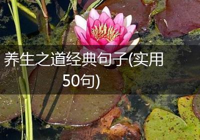 养生之道经典句子(实用50句)