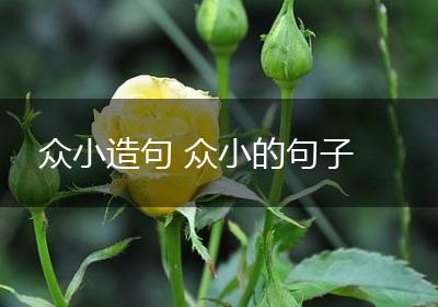 众小造句 众小的句子