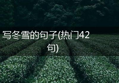 写冬雪的句子(热门42句)