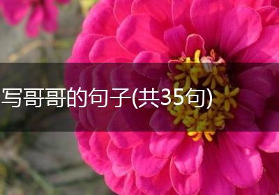 写哥哥的句子(共35句)