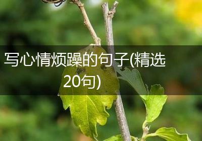 写心情烦躁的句子(精选20句)