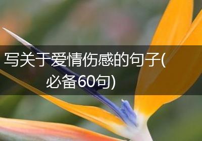 写关于爱情伤感的句子(必备60句)