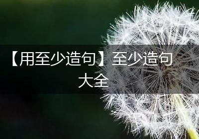 【用至少造句】至少造句大全