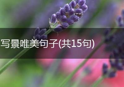 写景唯美句子(共15句)