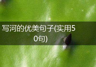 写河的优美句子(实用50句)
