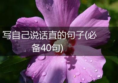 写自己说话直的句子(必备40句)