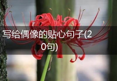 写给偶像的贴心句子(20句)