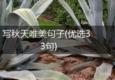 写秋天唯美句子(优选33句)