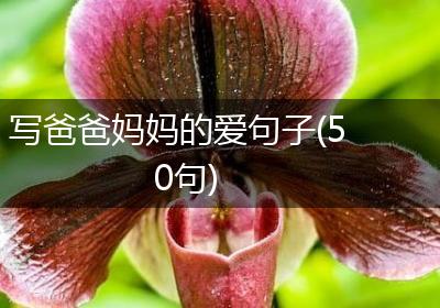 写爸爸妈妈的爱句子(50句)