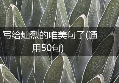写给灿烈的唯美句子(通用50句)