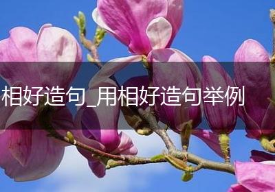 相好造句_用相好造句举例