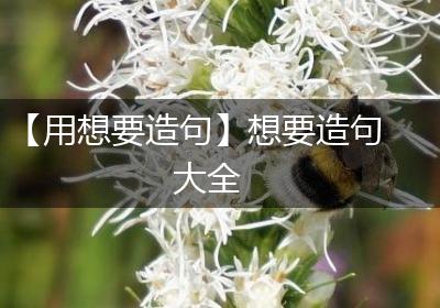 【用想要造句】想要造句大全