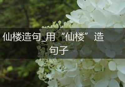仙楼造句_用“仙楼”造句子
