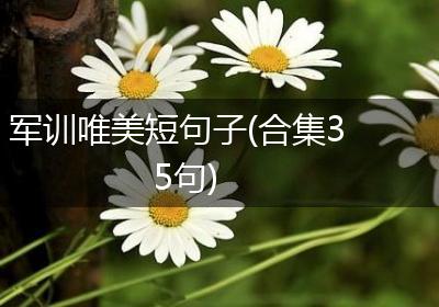 军训唯美短句子(合集35句)