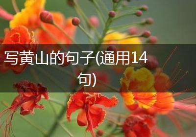 写黄山的句子(通用14句)