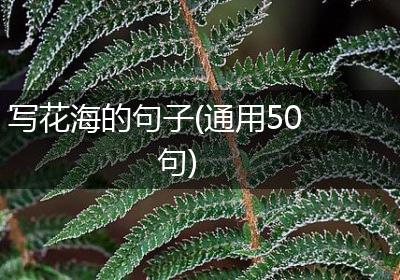 写花海的句子(通用50句)