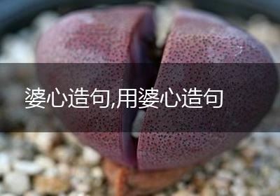 婆心造句,用婆心造句