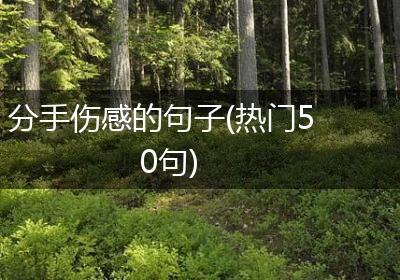 分手伤感的句子(热门50句)