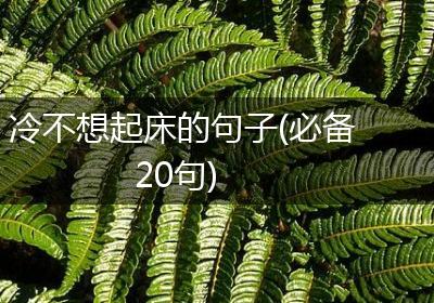 冷不想起床的句子(必备20句)